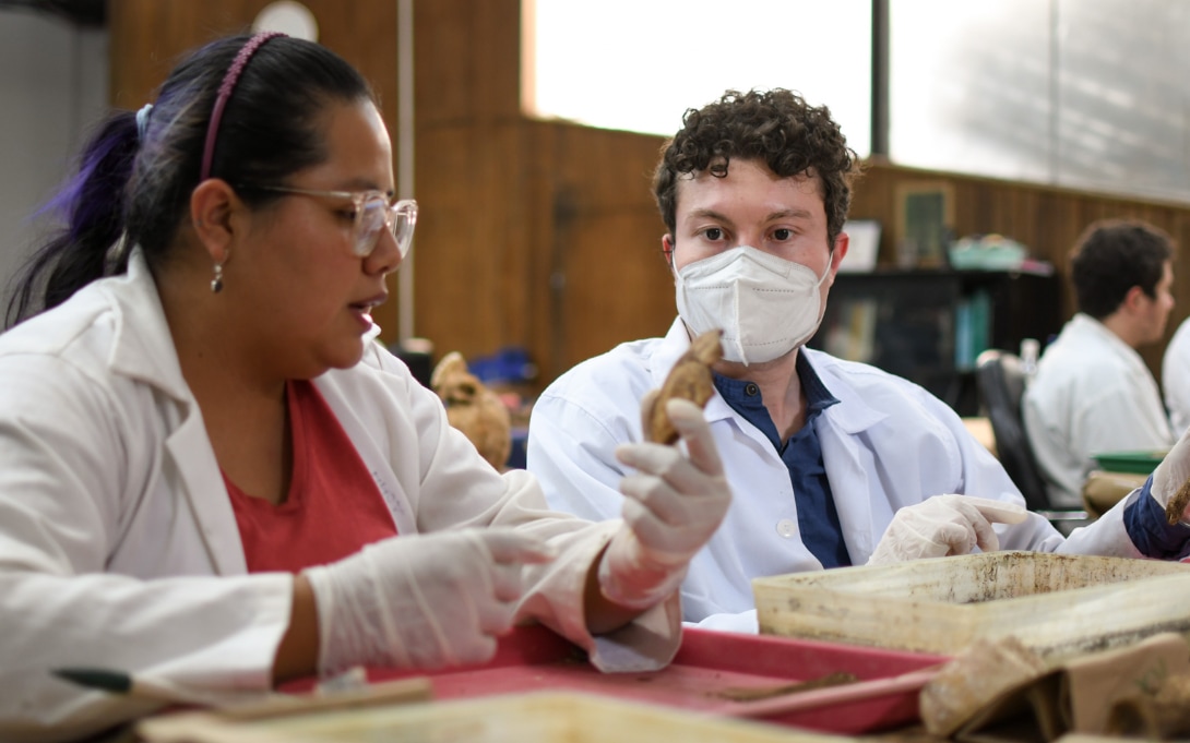 Forensic anthropology in Guatemala